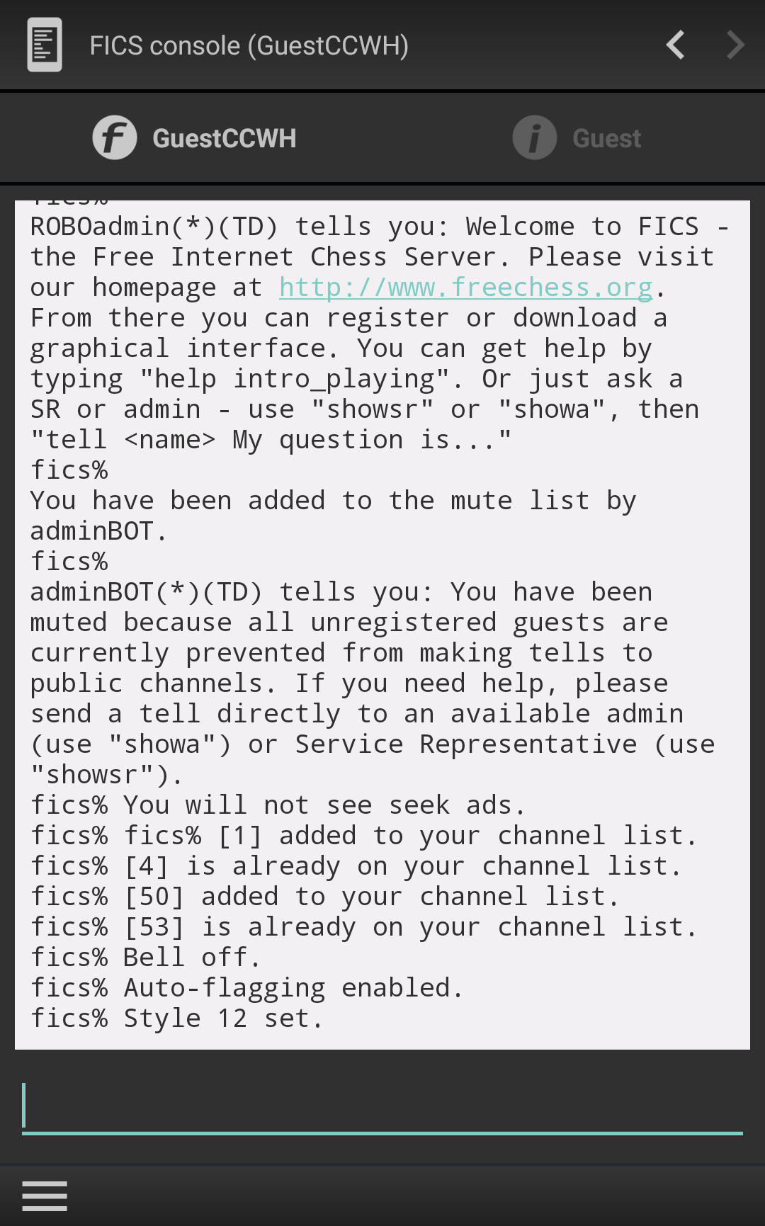 The console page